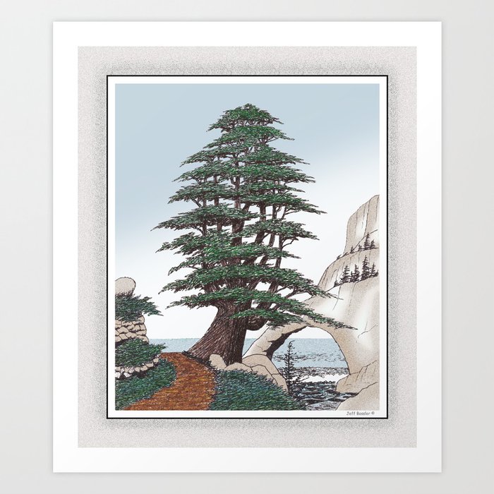CEDAR OF LEBANON PEN AND PENCIL DRAWING Art Print by Alpine Seaside  Landscapes | Society6