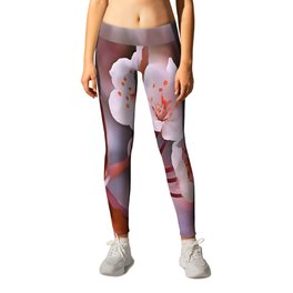 Cherry Blossoms Leggings | Painting, Nature 