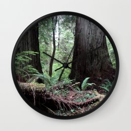 Coast Redwoods Rainforest 03 Wall Clock | Californiacoast, Humboldtcounty, Forest, Scenery, Redwoodsrainforest, Photo, Landscape, Redwoodtrees, Green, Nature 
