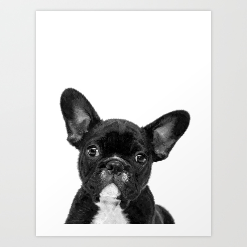 Wallpaper Black And White French Bulldog Art Print By Alemi Society6 For Free