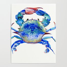 Blue Crab, crab restaurant seafood design art Poster
