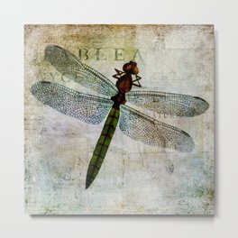 Dragonfly botanical nature print Metal Print | David Hayes, Insects, Life Style, Brown, Nature, Summer, Botanical, Print, Art, Illustration 