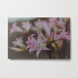 Pink Lily Metal Print | Flower, Travel, Other, Flowers, Lillies, Wild, Lily, Photo, Plant, Color 