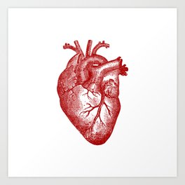 Anatomical Heart Art Prints For Any Decor Style Society6