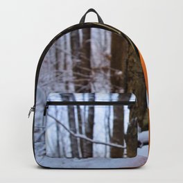 Last Vestiges of Fall Backpack | Fall, Winter, Snowypumpkin, Frozenpumpkin, Snowcovered, Orange, Snow, Photo, Pumpkin, Autumn 