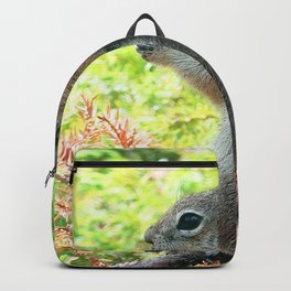 Watercolor Golden-Mantled Ground Squirrel 04, Gem Lake Trail, RMNP, Colorado, Ruffles Anyone? Backpack | Cut, Ground, Colorado, Green, Chipmunk, Digital, Watercolor, Gray, Squirrel, Eating 