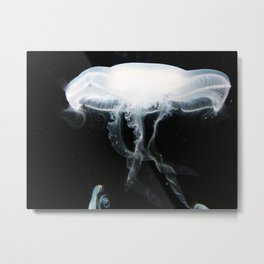 Jellyfish 5 Metal Print | Photo, Animal 