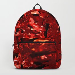 Beautiful Vibrant Red Autumn Leaves - Fall Colors - NorthWest Backpack