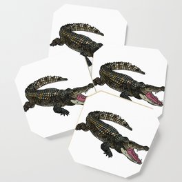 American Alligator Coaster