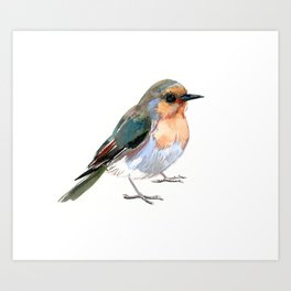 wildbird mountain bluebird sling