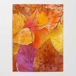 A Beautiful Fall Leaf Collection Poster