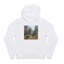 Take me to the north Hoody