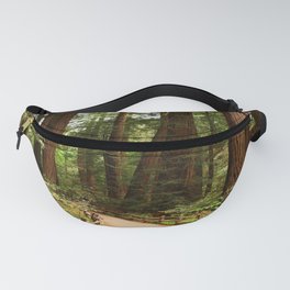 Walking Through The Muir Woods Fanny Pack