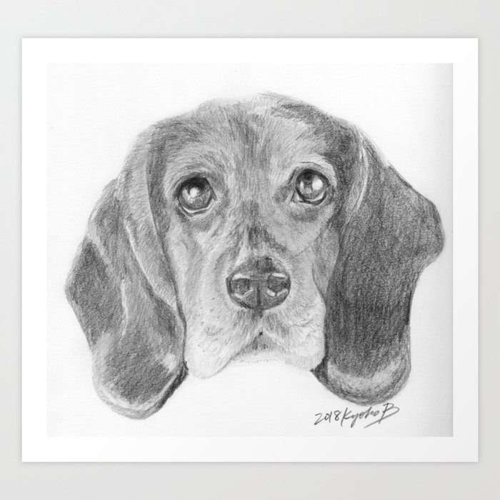 Beagle Dog Face Realistic Pencil Sketch Drawing Art Print By