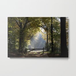 Autumn in The Netherlands Metal Print