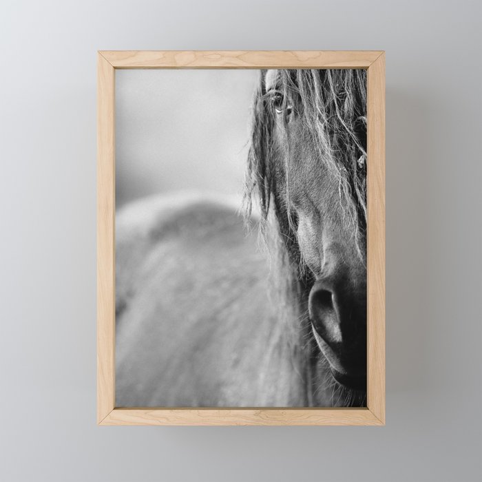 Horse Framed Mini Art Print By Tomashudolin Society6