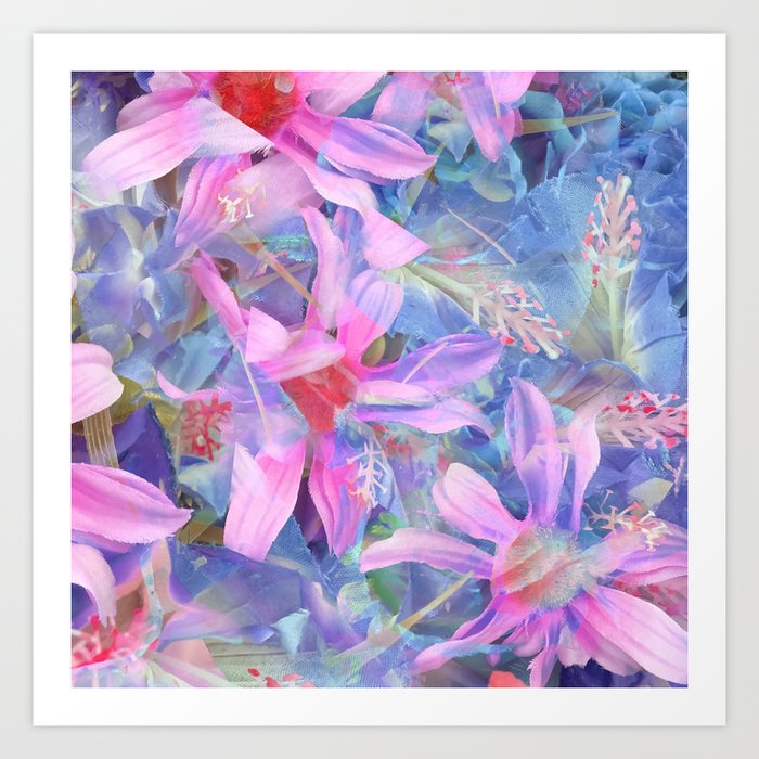 Blooming Pink And Blue Daisy Flower Abstract Background Art Print