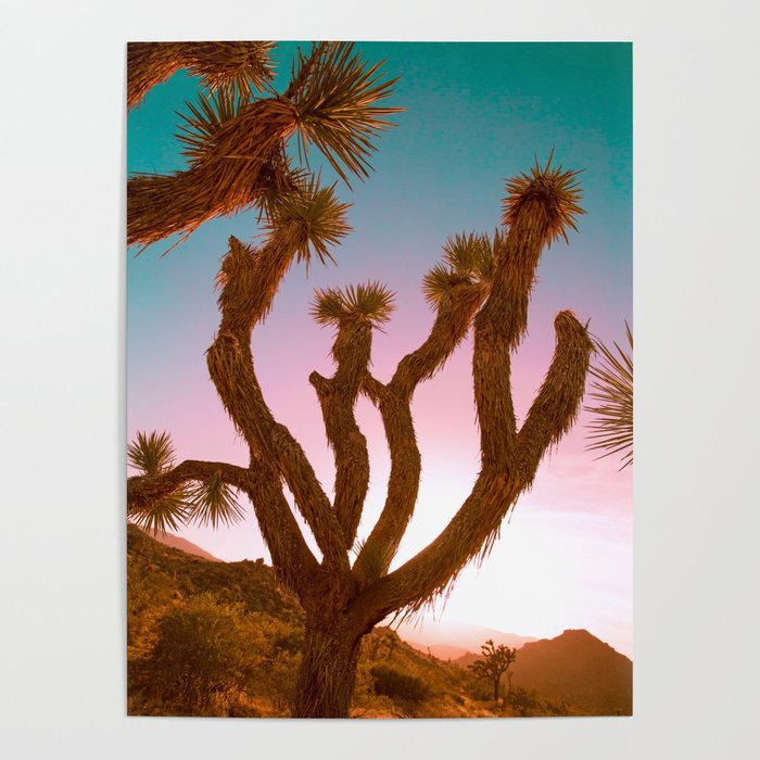 Joshua Tree Desert Sunset Poster By Autumn Layne Photography Society6