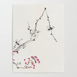 Chinese botanical flower  Poster