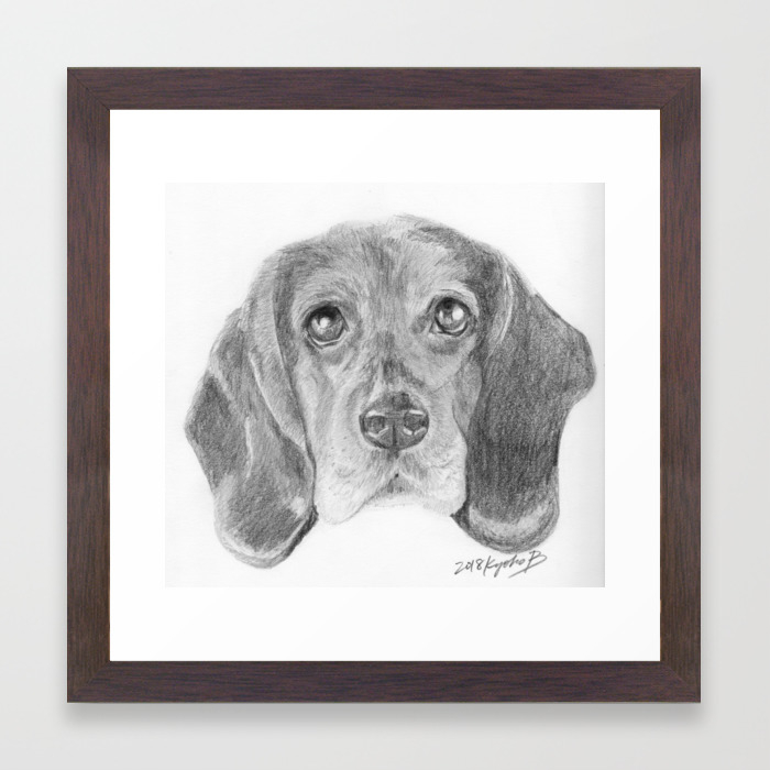 Beagle Dog Face Realistic Pencil Sketch Drawing Framed Art Print By Kyokobartley Society6