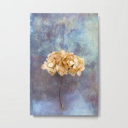Hydrangea Metal Print | Decorative, Floral, Love, Flora, Classic, Digital, Elegant, Scandinavian, Photo, Botanical 