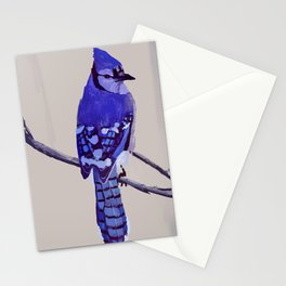 Blue Jay Bird Stationery Cards