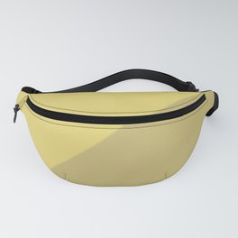 Simply Gradient Fanny Pack