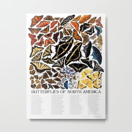 Butterflies of North America Metal Print | Entomology, Animal, Classroom, Watercolor, Bug, Tshirt, Wildlife, Lepidoptera, Butterflies, Chart 