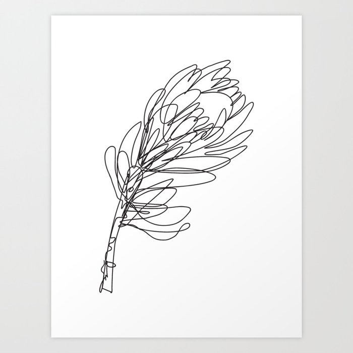 Abstract Protea Flower Continuous Line Drawing Art Print By