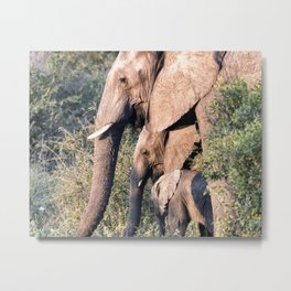 Elephant Family Metal Print | Color, Elephantfamily, Animal, Wildlifephotography, Wildlife, Africa, Lionking, Photo, Elephants, Safariart 