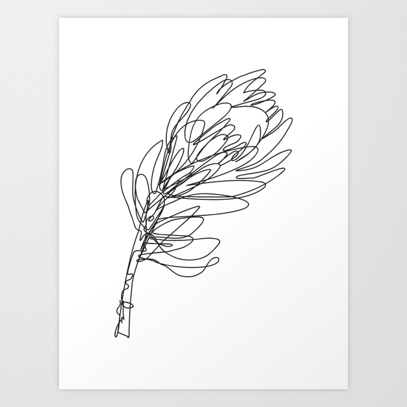 Abstract Protea Flower Continuous Line Drawing Art Print By