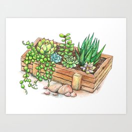 Succulent Planter Box Art Print