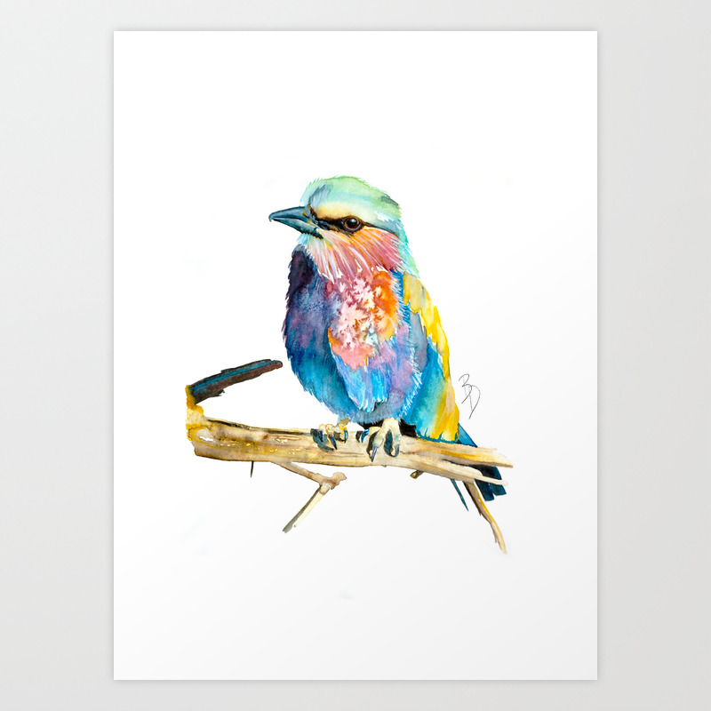 Bird Watercolour Painting Print by Bonnie Dixson, Art, Animal Art, Home  Decor Art Print by Bonnie Dixson | Society6