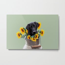 milk can with labrador dog  - sunflowers Metal Print | Dog, Graphic, Collage, Illustration, Childrendesign, Cute, Fantasy, Animal, Milkcan, Sunflowers 