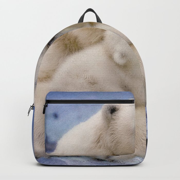 polar backpacks