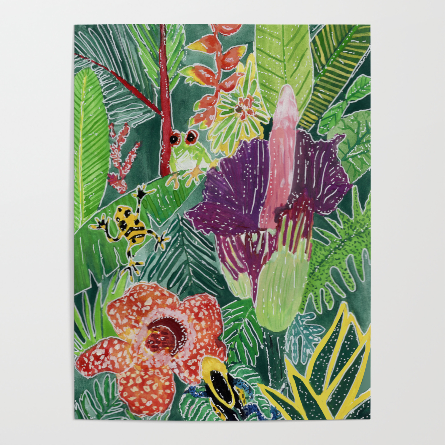 Amazon jungle frogs rafflesia flower Poster by Bhargavibalachandran |  Society6