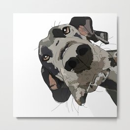 Great Dane dog in your face Metal Print