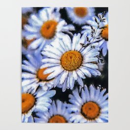 Beautiful Field of Daisies In The Summer, Cute Common Daisy, Leucanthemum vulgare, Marguerite Daisy Flowers Poster