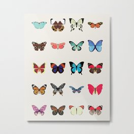 Butterflies Metal Print | Colorful, Spring, Science, Outdoors, Wings, Nature, Floral, Flowers, Summer, Drawing 