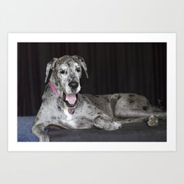 Great Dane Art Prints For Any Decor Style Society6