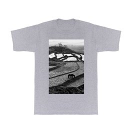 Wild Horses on the Rice Terraces of Northern Vietnam T Shirt | Abstract, Fields, Photo, Film, Animal, Animallovers, Ruralidyll, Landscape, Black And White, Horses 