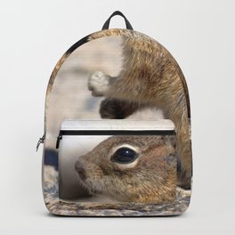 Watercolor Golden-Mantled Ground Squirrel 02, Dunraven Trail, Colorado, To The Beat of My Own Drum Backpack | Squirrel, Brown, Watercolor, Carlson, Carlsonimagery, Painting, Ground, Chipmunk, Digital, Mammal 