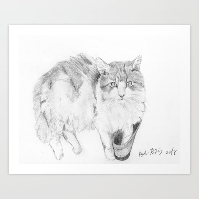 Cat Realistic Pencil Sketch Drawing Art Print By Kyokobartley