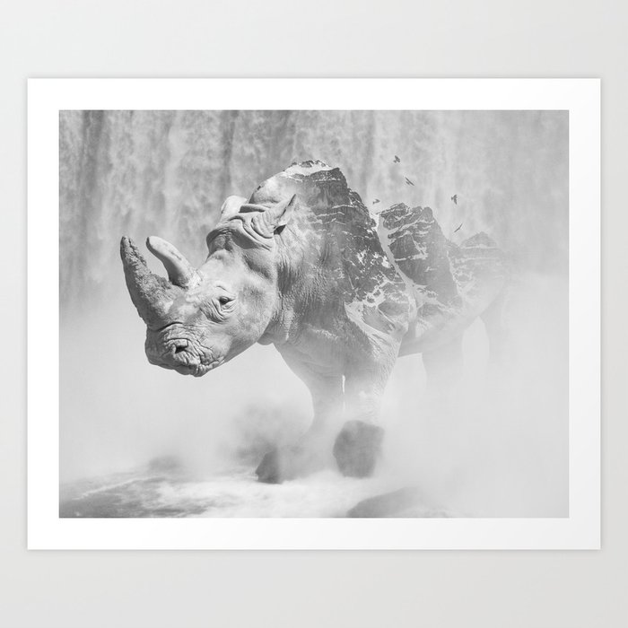 Rhino Photography Animal Landscape Abstract Niagara Falls