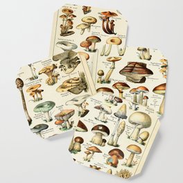 Vintage Mushroom & Fungi Chart by Adolphe Millot Coaster
