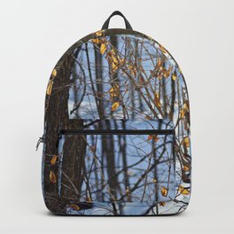 Last Vestiges of Fall Backpack | Color, Leaves, Woods, Winter, Photo, Hdr, Minnesota, Digital, Snow 