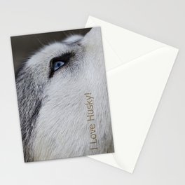 Husky eye Stationery Cards