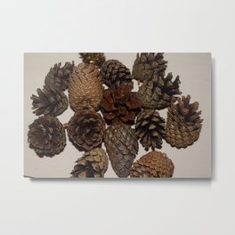 acorns Metal Print | Acrons, Brown, Color, Rustic, Nature, Photo, Minimal, Squirrels, Digital, Nuts 
