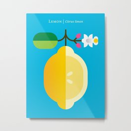 Fruit: Lemon Metal Print | Natureprint, Fruitmodern, Minimalistdesign, Lemontree, Kitchenmodern, Yellow, Fruit, Retrodesign, Lemonprint, Lemon 