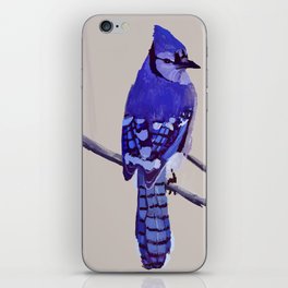Blue Jay Bird iPhone Skin